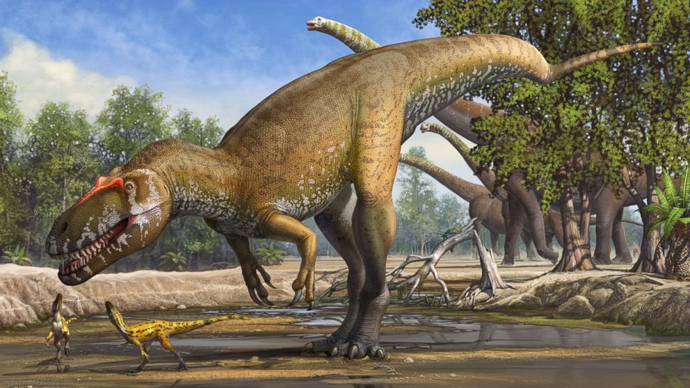 Remains of Europe's Biggest Dinosaur Predator Unearthed in Portugal